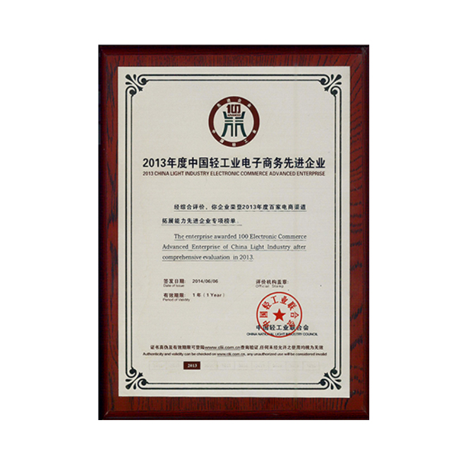 2013年度中国轻工业电子商务先进企业.png